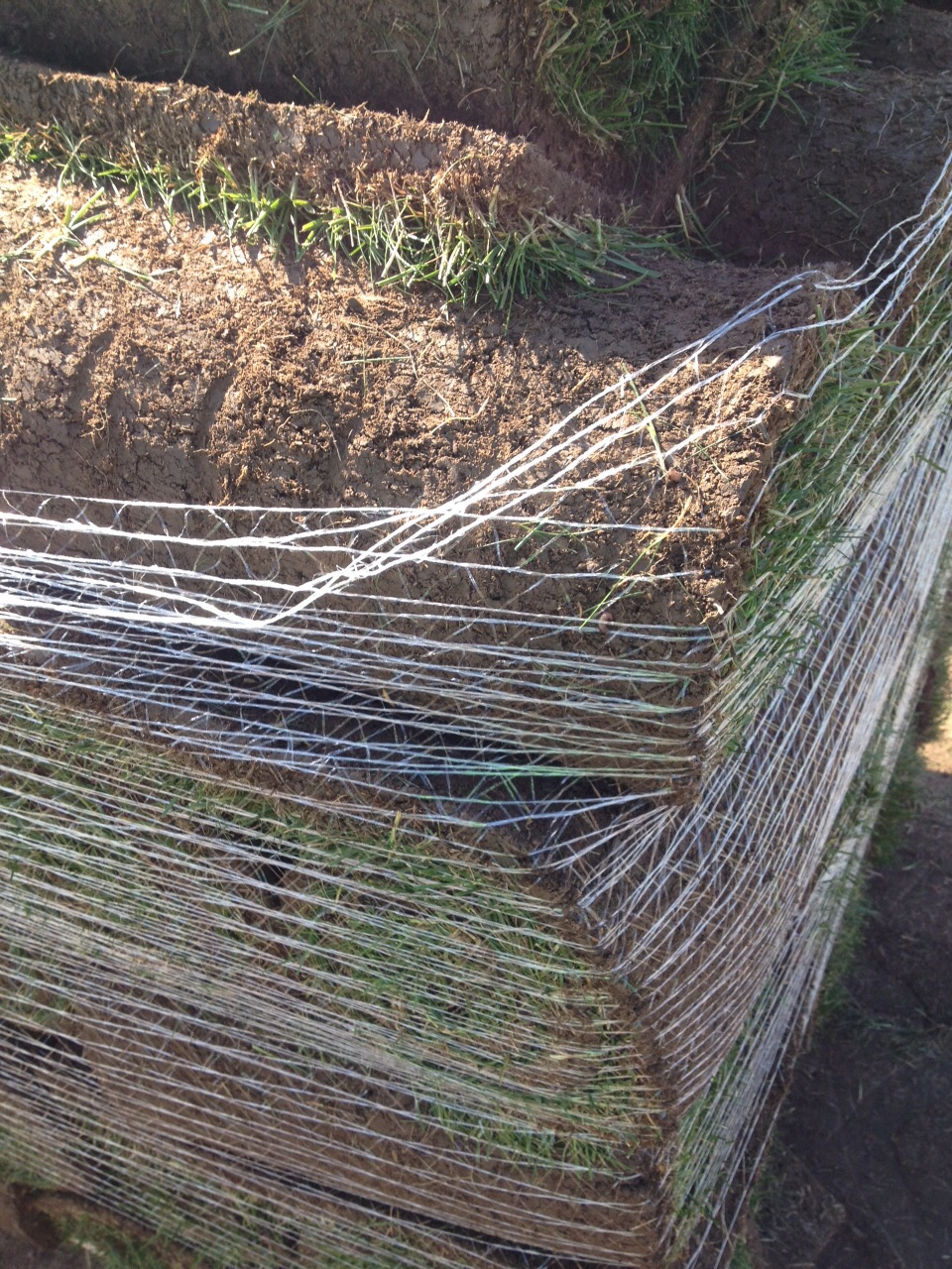 setka_palletnaya_rendell_shirina_50sm_namotka_1000m